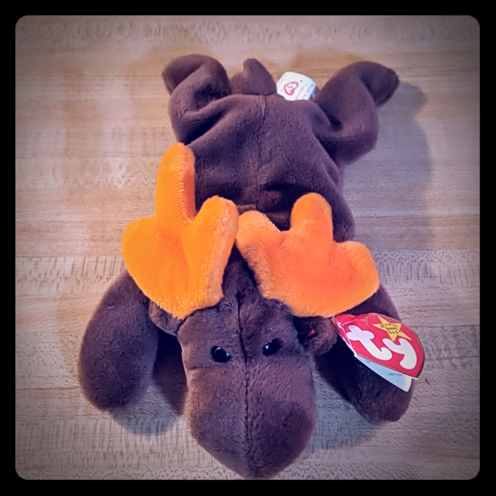 TY Beanie Baby Original Chocolate The Moose w/Tags